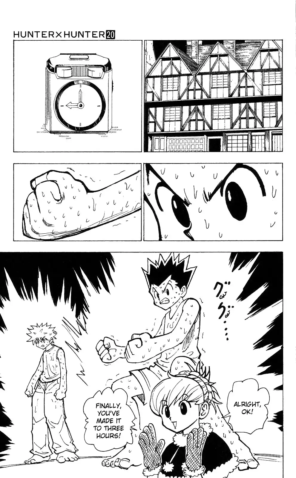 Hunter x Hunter Chapter 202 11